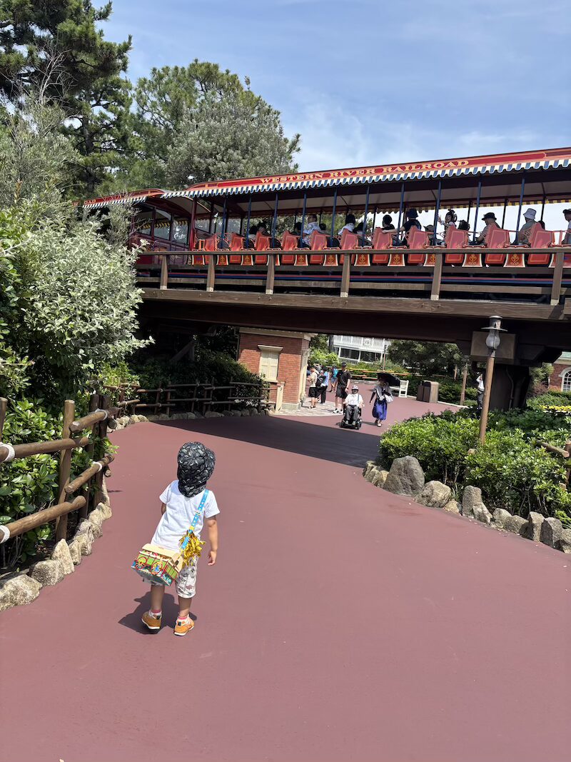 東京ディズニーランドのウエスタンリバー鉄道を見上げる息子の写真。見るのは好きだけど乗るのは嫌だと拒否