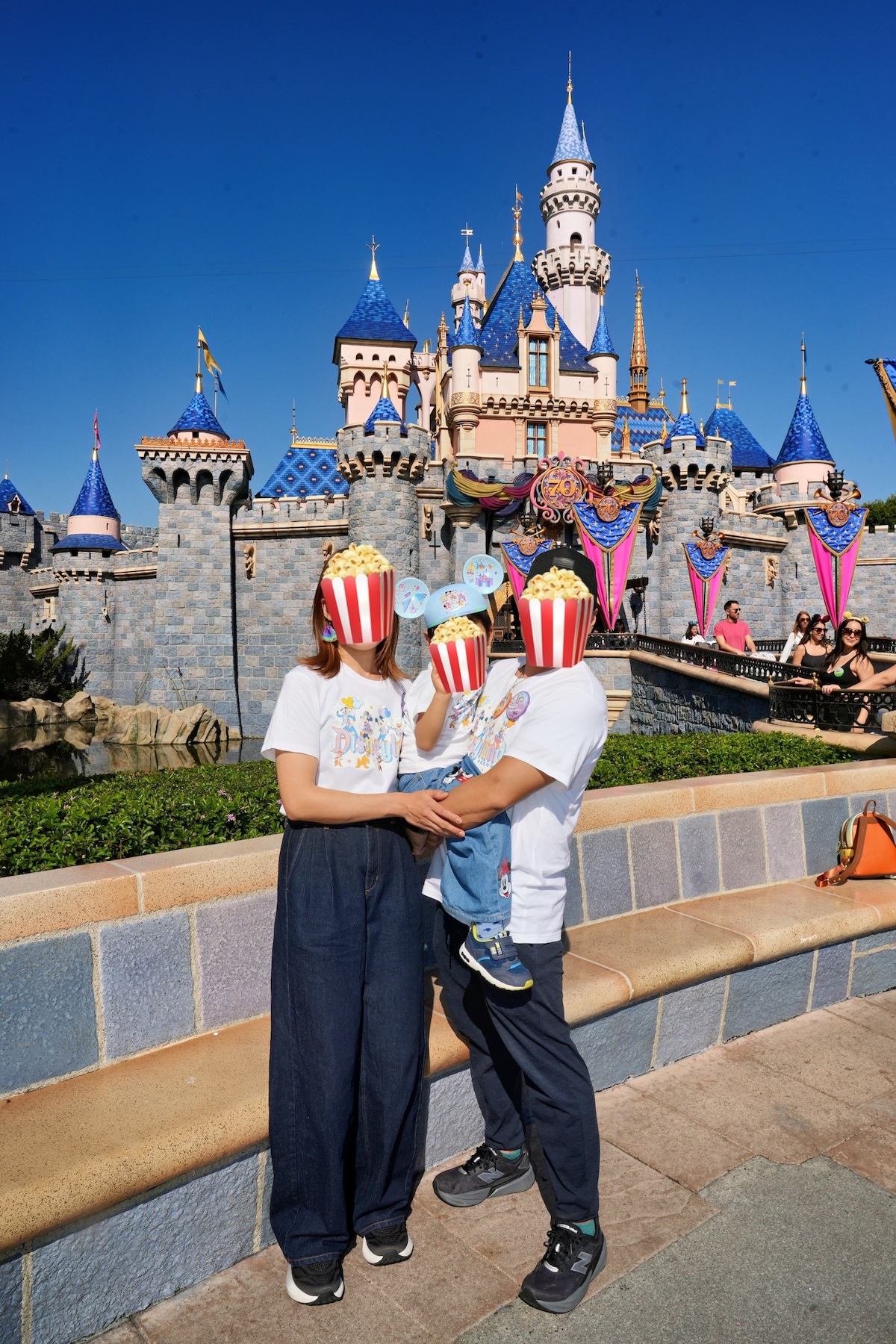 Disneyland 70周年 お城前 主人と息子との家族写真