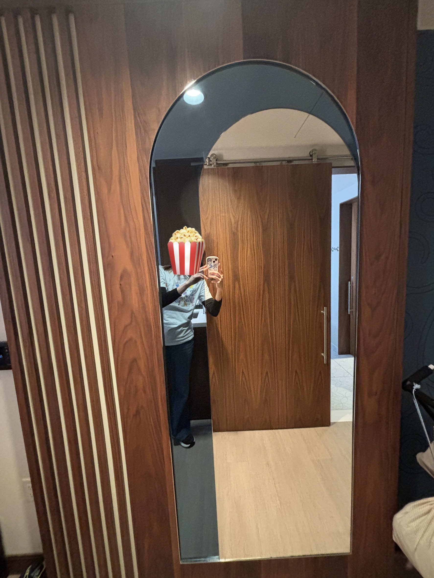 アナハイムディズニーランドホテル客室の全身が映る鏡