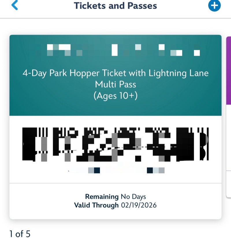 ディズニーランドアプリに連携された4日券パークホッパー＋ライトニングレーンマルチパスのチケット