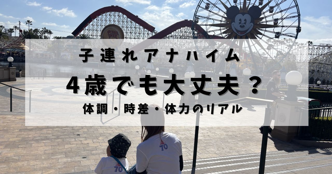 アナハイムディズニーで観覧車を背景に4歳の子どもと後ろ姿で写る親子