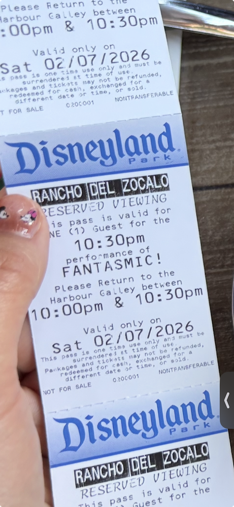 ランチョ・デル・ソカロでもらったファンタズミックの優先鑑賞エリアの引換券。22:30公演用で集合時間と場所が印字されている